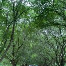 물길스테이 이미지