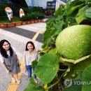 용산구청 이미지