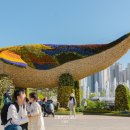 일산호수공원 2024 고양 국제 꽃박람회관람 후기