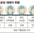 형광인테리어 이미지