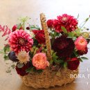 보나약국 이미지