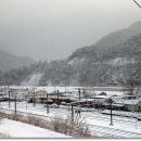 분천2리 이미지