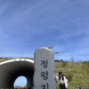 산내면 입석마을 | 등린이의 첫 지리산 : 정령치~바래봉 능선타기 후기(feat. 안내 ABC 산악회 장/단점)