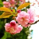 이순신마리나 이미지