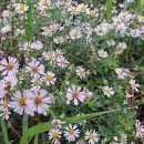 [서창] 효돈까스 이미지