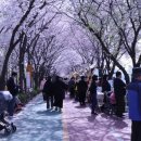 송정마을 이미지