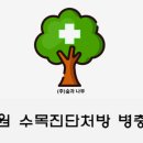 나무병원건강한숲 이미지