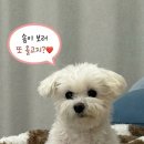 애드카 | 블로그 시작 한달 만에 애드포스트 승인 후기💰 (방문자 수 / 게시글 수 / 신청 조건)