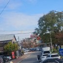 참좋은 | 대구 근교 소고기 군위 참좋은한우 직판장 후기