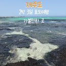 (주)노블레스렌터카 | 제주도 2박 3일 여행 가족여행 효도여행 1일차 코스 총정리