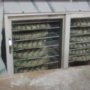 명당만두 이미지