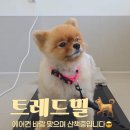 도근도근 이미지