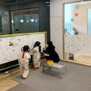 (주)엠앤케이파트너스 이미지