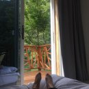 유정목장-2 이미지