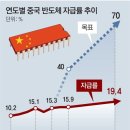 그냥 심심해서요. (13058) 체면 구긴 中 반도체 굴기 이미지