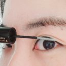 래쉬티비 이미지