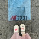이메이드 | [고양이 박람회] 2023년 서울캣쇼 방문후기