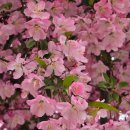 (구)서천군청 이미지