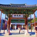 통일기원 미륵대불 | 봄 전령사 찾아 '봉은사'탐방=정문. 홍매화.연등. 미륵대불.다중촬영.일주문 등 담아오다/2026년 03월13일.