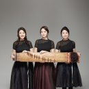 가야금피어나 이미지