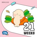기흥세무서 건너편 횡단보도 | 임신 주수 기록 21W, 22W👼🏻 | GOOD-BYE 2024, HELLO 2025 !