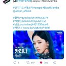 케이맘바 이미지