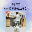 유리나무 | [내돈내산] 나무책상 흠집 방지템! 유리대용 PVC 투명매트 교체 후기 ❤️