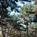 늠내길5코스 정왕둘레길 이미지