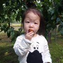 하울농장 이미지