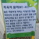 카페쉼 | 경주 쉼족욕카페 후기 : 황리단길에서 지친 발 힐링