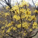 가실농장 이미지