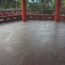 정자우리들 이미지