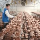 박준호농장 이미지