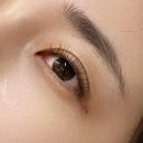 뷰티크라운 - 천안시 서북구 늘푸른6길 5-15 | [서울/가산] 가산디지털단지 속눈썹펌, 속눈썹연장 전문 "크라운뷰티" 후기 ✨