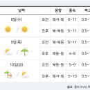 [여객선 운항정보] 2023년2월8일(수요일) 이미지