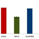 대백인삼마을