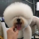 어쩌다뷰티살롱