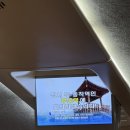 부산 1박 2일 여행, 사직야구장, 이재모 피자, 개금벚꽃길, 닭발의지존, 짬뽕탕과 회 그리고 어쩌구