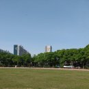 시민체육관 | ​광명 시민의 힐링 성지! 광명시 시민체육관 헬스장 &amp; 피크닉 후기