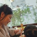 한창대중탕 | 2025년 마쓰야마 in 일본 (4개월 + 18개월 아가랑)