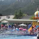 남도1번지횟집 이미지