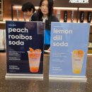 물만난 하우스 | 성수에서 만난 새로운 일상, 소다스트림 클럽 하우스 오픈파티 후기