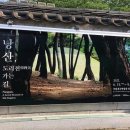 자미성 - 동구 팔공로51길 31-8 | 자미성