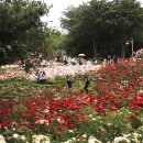 버스정류소_우장산역 이미지