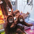 안드로메다 오락실 이미지