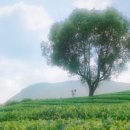 하가민박 이미지