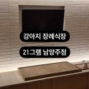 풀내음쉼터 | 강아지 장례식장 21그램 남양주점 | 사전 방문 후기