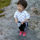 슈르르까 이미지