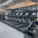 타이거휘트니스 이미지