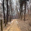 새터근린공원 주변 이미지